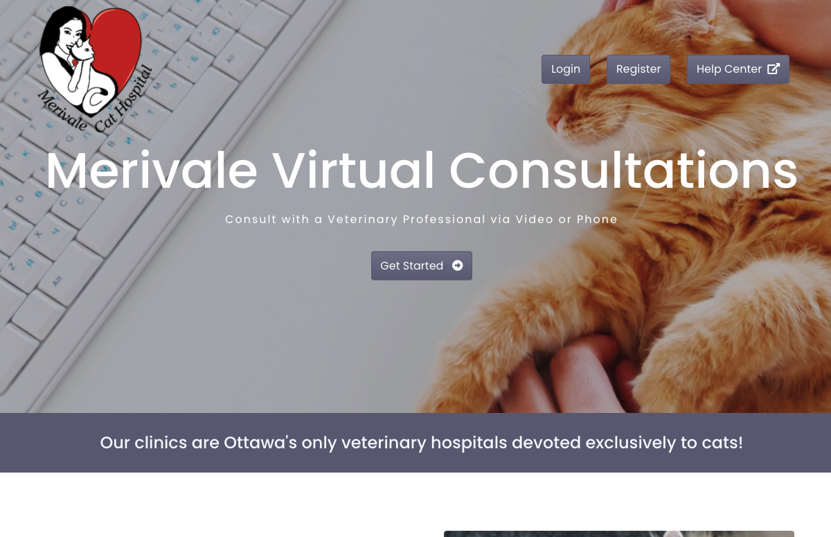 Merivale Cat Hospital